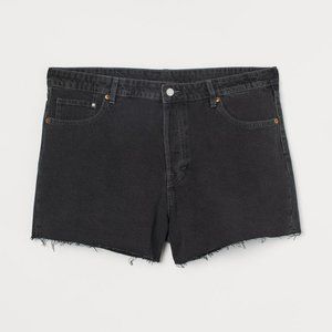 H&M + Denim Vintage High Rise Denim Shorts